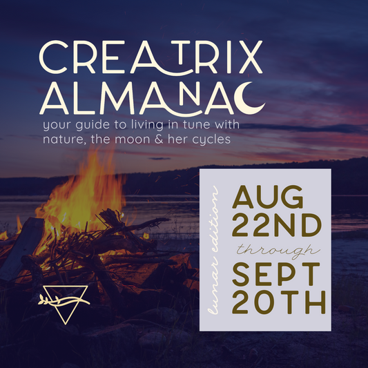 Aug 22nd-Sept 20th | Seasonal Reflections